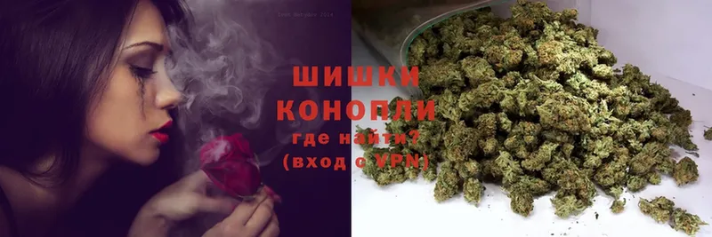 Шишки марихуана SATIVA & INDICA  как найти наркотики  Староминская 